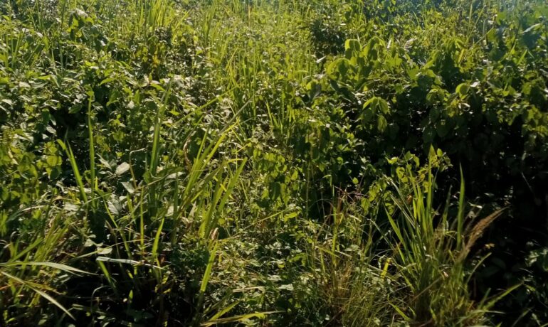 Land Works Enterprises