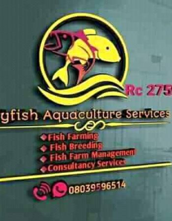 Sulyfish Aquaculture Services