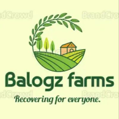 Balogz Milk Cheese