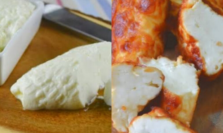 Balogz Milk Cheese