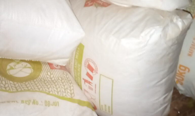 Bolanle Oni Garri