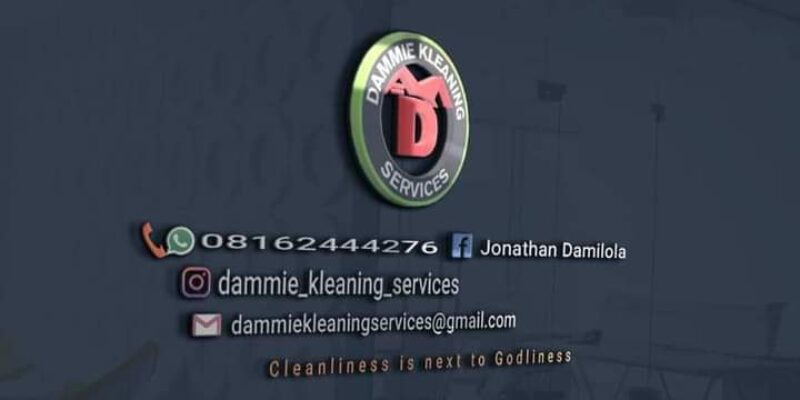 Dammie Kleaning Services