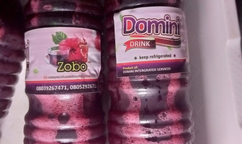 Domini Integrated Services