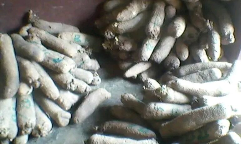 Gbola Foods