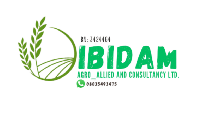 Ibidam