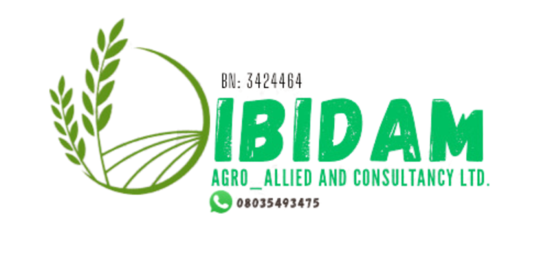 Ibidam