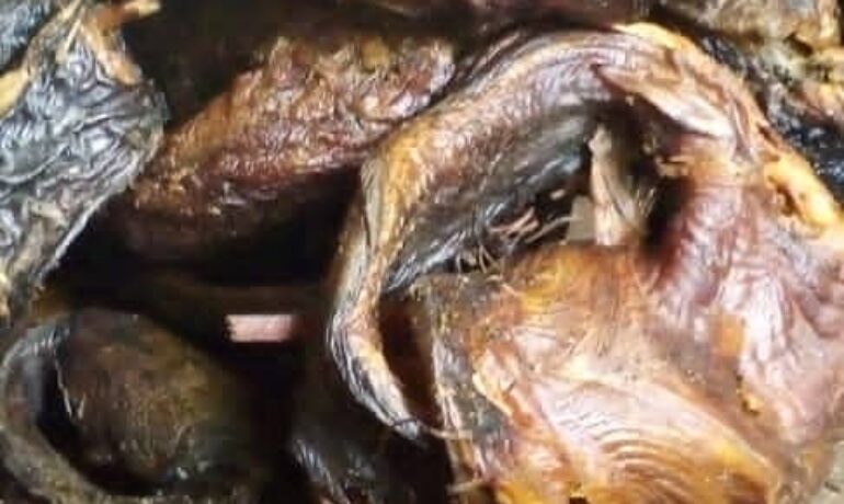 Ibrahim Nibrax Fish Supplies