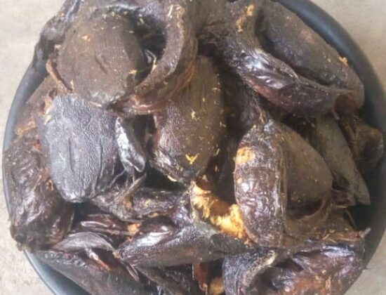 Ibrahim Nibrax Fish Supplies