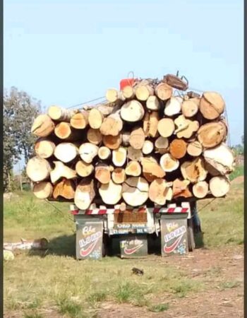 Kebright Plank Seller