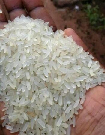 Kelion Rice World