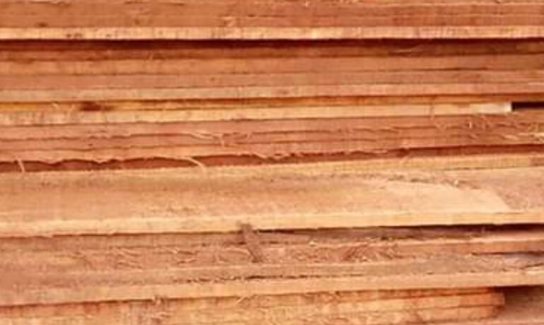 Ollybee Wooden Resources