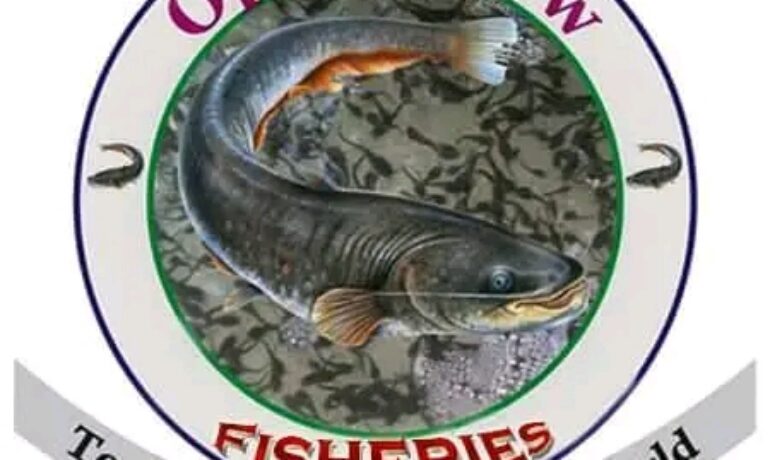 Opemathew Fisheries