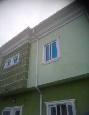 Opeyemi House Painter