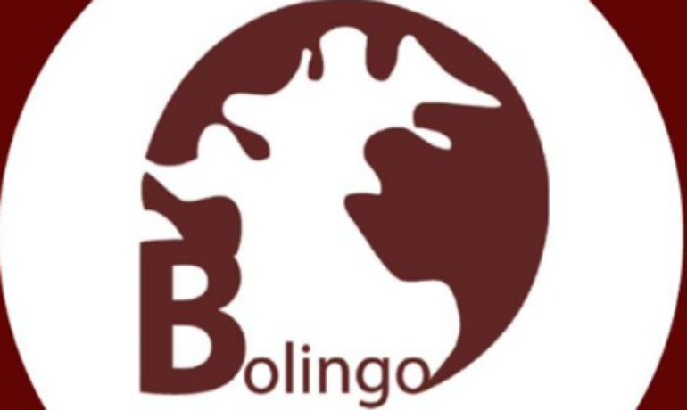 Bolingo Hotel And Tower Abuja 