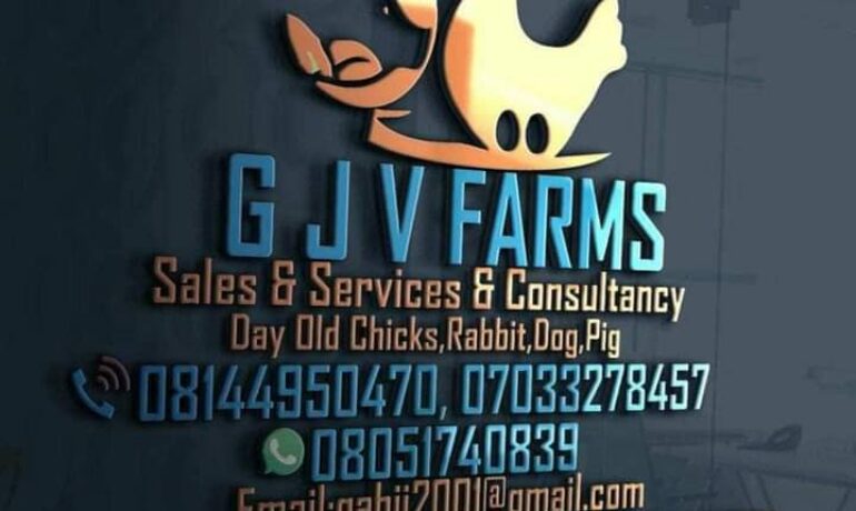 Gjv Farms