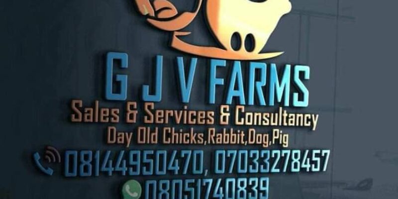 Gjv Farms