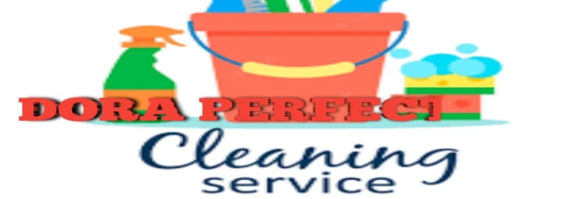 DORA PERFECT TOUCH CLEANING SERVICE