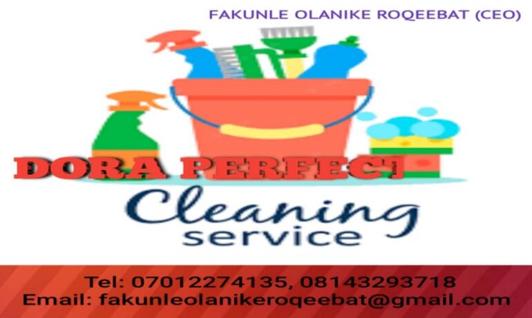 DORA PERFECT TOUCH CLEANING SERVICE