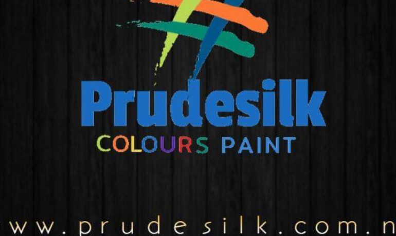 Prudesilk Paint And Chemicals