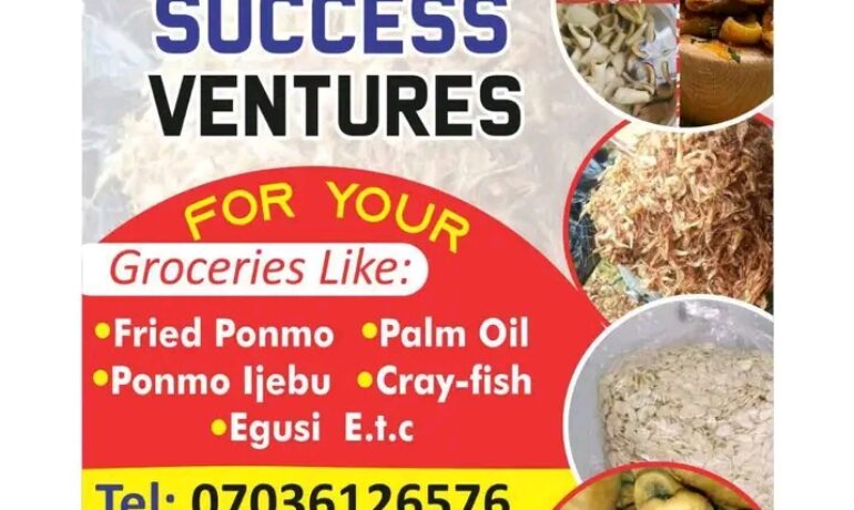 SUCCESS Ventures