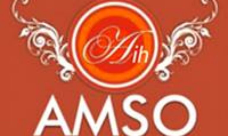 AMSO INTERNATIONAL HOTELS 