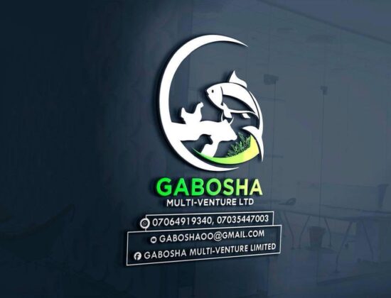 Gabosha Multi Ventures Limited