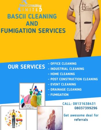 Bascii Consulting Limited