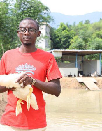 Isa Musa Poultry Farm 