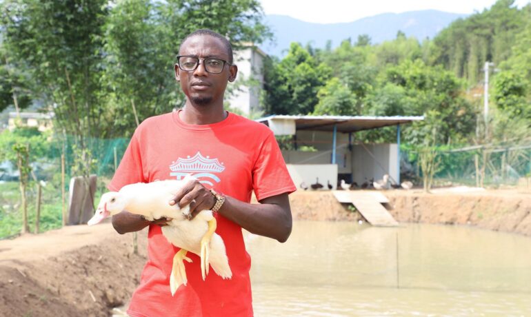 Isa Musa Poultry Farm 