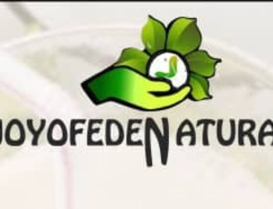 Joyofeden Home