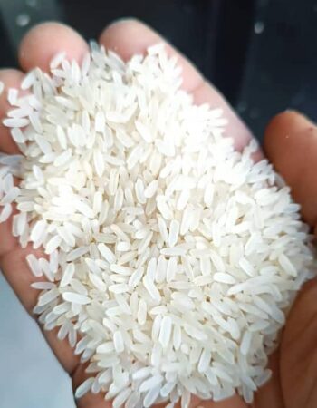 Sparkling Ebonyi Rice 