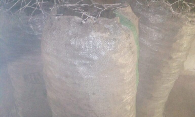 Victor Charcoal Venture