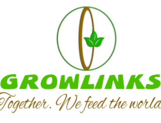 GROWLINKS INTERNATIONAL COMMODITIES LIMITED