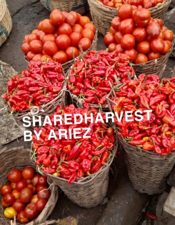 SharedHarvest by Ariez