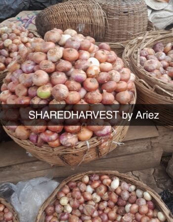 SharedHarvest by Ariez