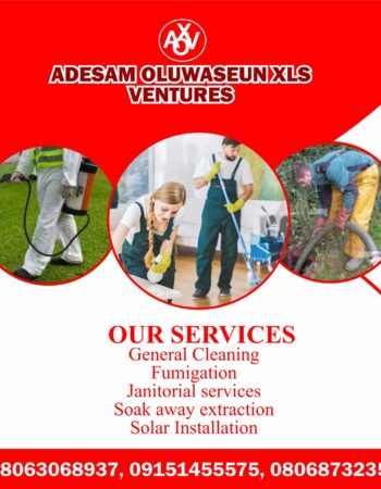 Adesam Oluwaseun XLS Ventures