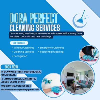 DORA PERFECT CLEANING SERVICES