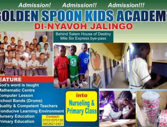 Golden Spoon Kids Academy (GOSKA)