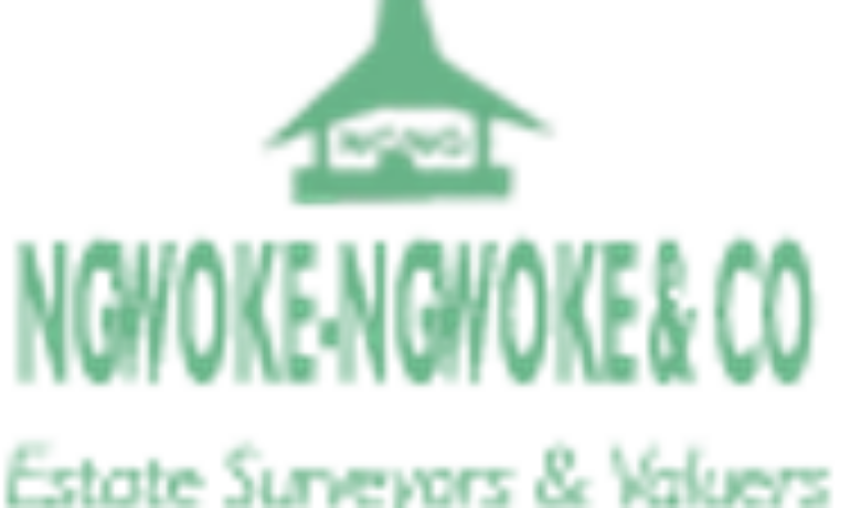 Ngwoke-Ngwoke & Co 