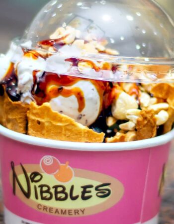 Nibbles Creamery 