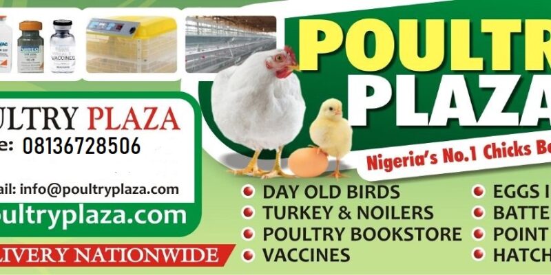 Poultry Plaza