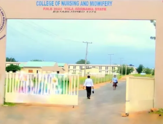 Adamawa State College Of Nursing And Midwifery Yola