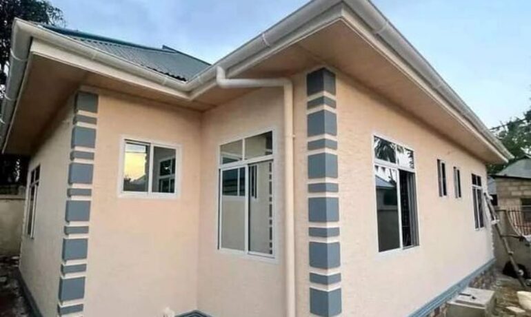 Akinola Samuel Plumbing & Painting