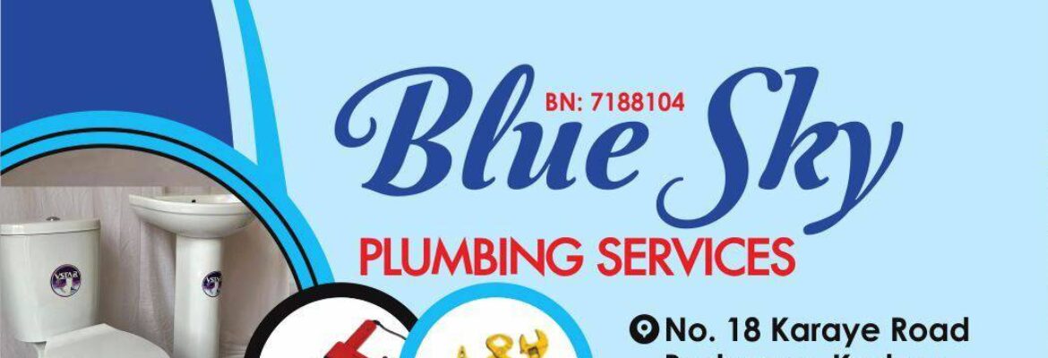 Blue Sky Plumbing Services