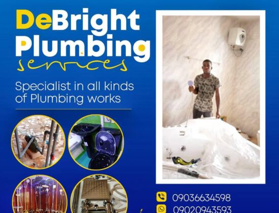 De Bright Plumbing 