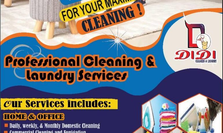 Didi Cleaning and Laundry