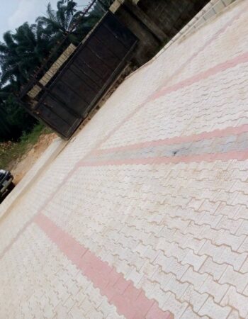 Ekpezu Construction and Landscaping (E.C.L) Nigeria Limited