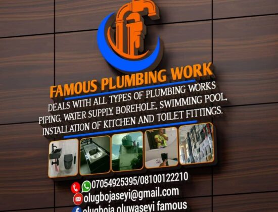 Famous Plumbing Work