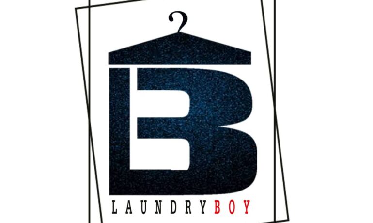 LaundryBoy Cleaning Services 