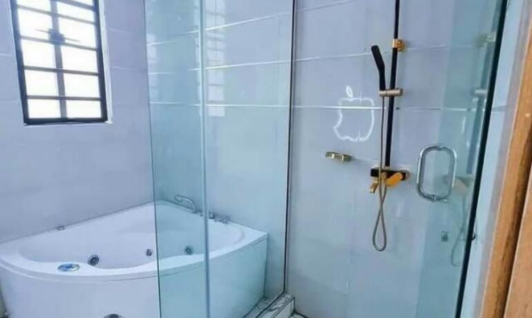 Ogunwale Plumbing Work
